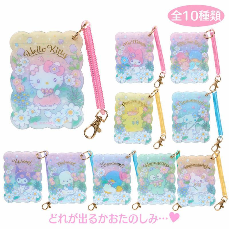 SANRIO SECRET PASS CASE EVERYONE IS THE STAR BLIND BOX