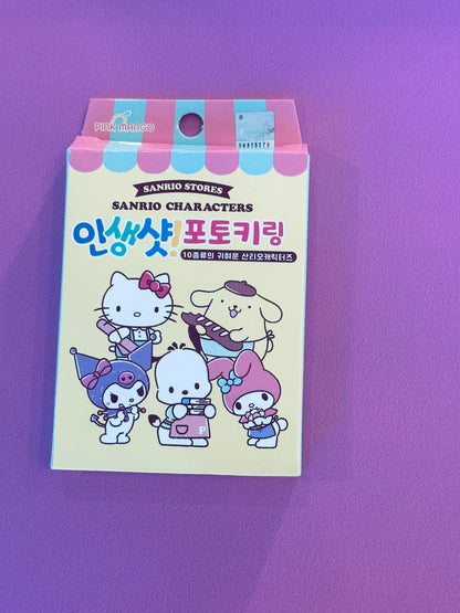 SANRIO CHARACTER PHOTO KEYCHAIN BLIND BOX