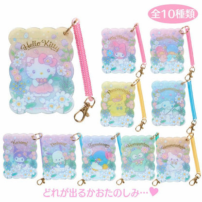 SANRIO SECRET PASS CASE  EVERYONE IS THE STAR BLIND BOX