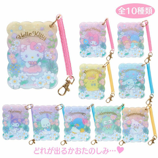 SANRIO SECRET PASS CASE  EVERYONE IS THE STAR BLIND BOX