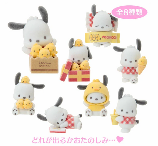 SANRIO ORIGINAL POCHACCO MASCOT FIGURE BLIND BOX POCHACCO LOVES PEE-CHANS HAPPY BIRTHDAY